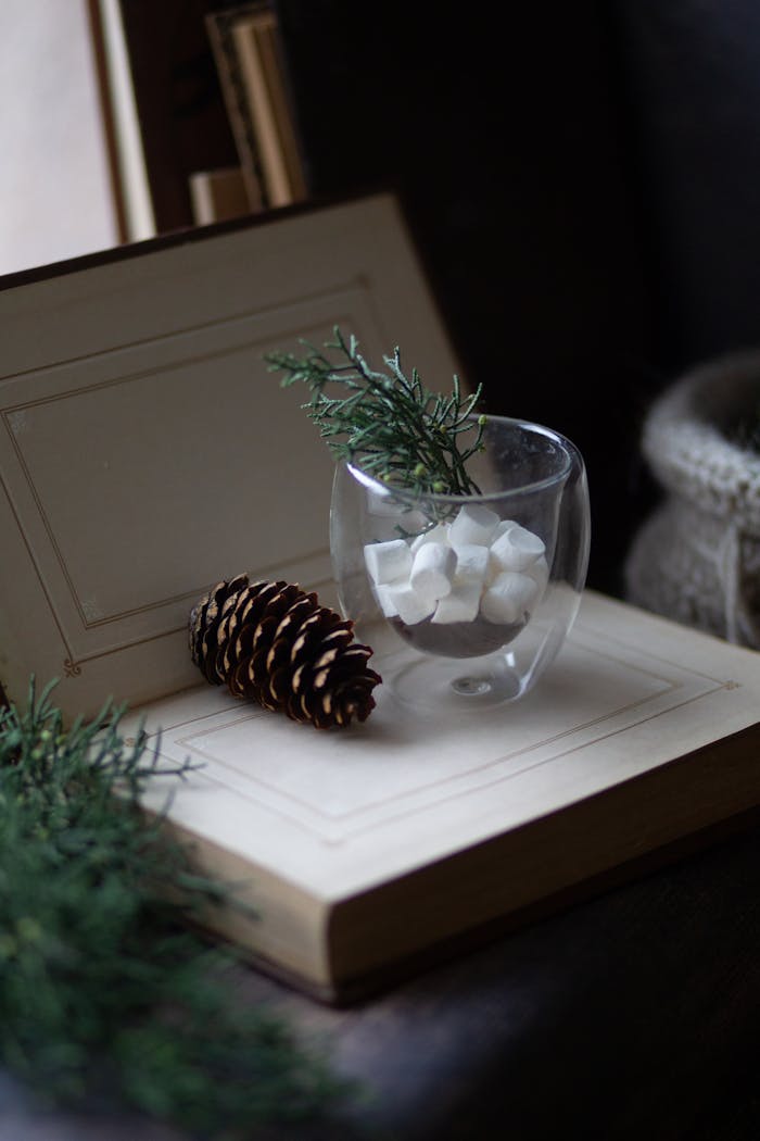 Pine cone, evergreen sprigs, and glass with sugar cubes evoke a cozy winter vibe.